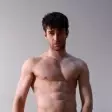 Woody Fox